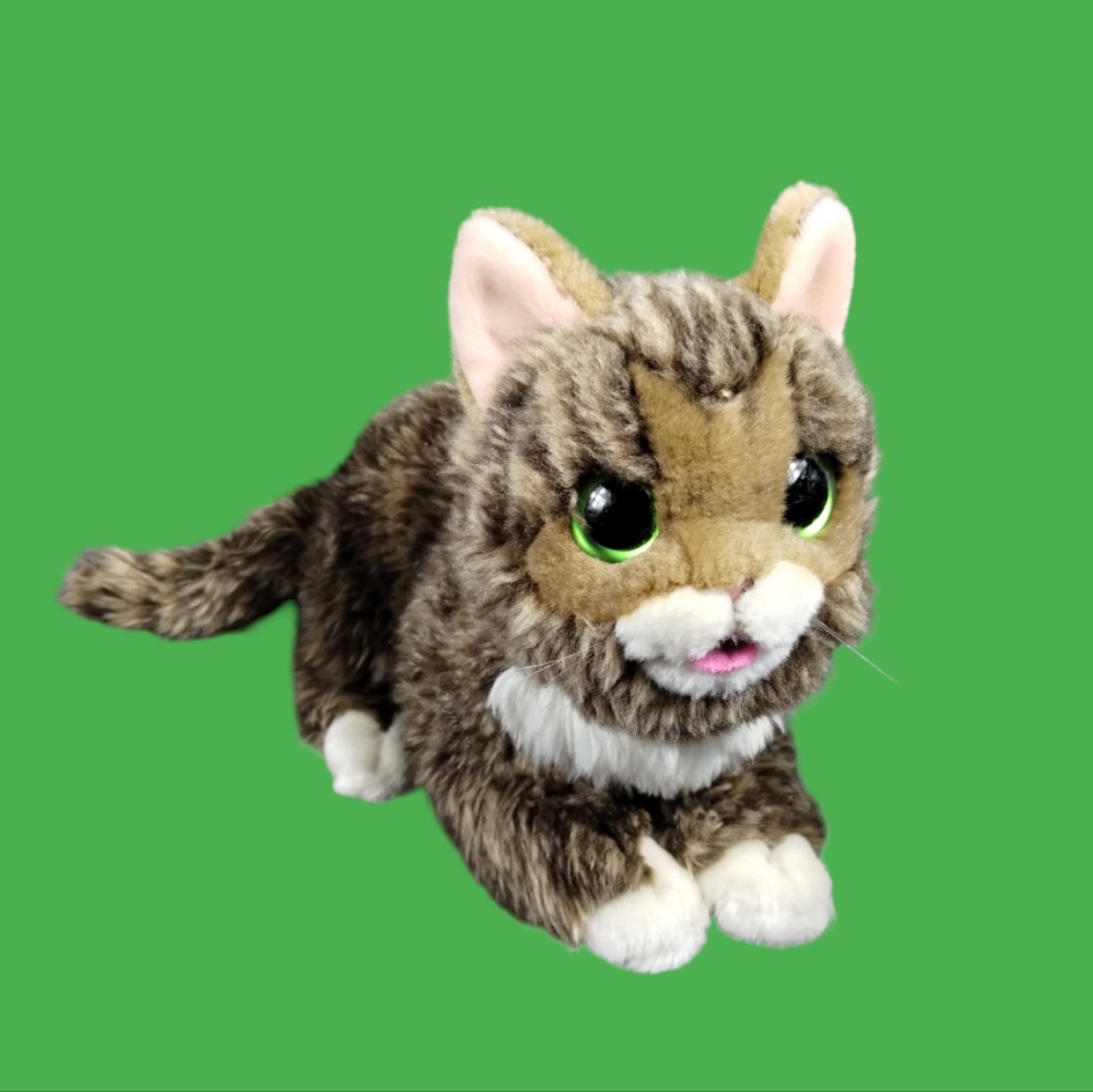 Cuddle Barn - Lil BUB | Soft Adorable Kitten Stuffed Animal Plush Toy, 10 inches